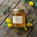 The Best Dandelion Jelly – Dandelion honey Recipe for a Taste of Spring
